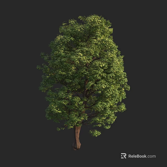 Lush Green Arbor With Dense Foliage Strong Trunk Isolated On Dark Background 3d model 