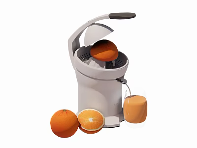 Electric Kitchen Juicer for Fresh Orange Juice with Whole Sliced Oranges 3d model