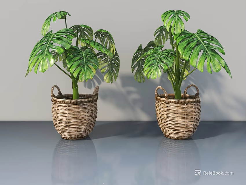 Stylish Pet Cabinet With Large Leaf Plants In Wicker Baskets On Gray Surface 3d model 