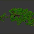 Lush Green Tree With Red Fruits Thick Trunk Exposed Roots On Gray Background