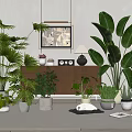 Stylish Indoor Bonsai and Potted Plants with Various Greenery in Modern Ceramic Planters