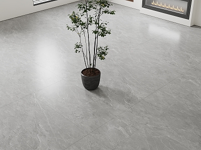 light gray floor tile marble floor green plants model