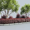 Vibrant Red Shrubs In Landscaped Garden Bed With Green Trees And Stone Edging