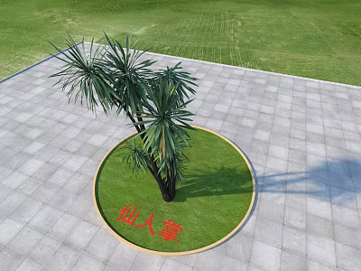 Cactus Plant in Circular Grassy Area on Paved Ground with Green Lawn Background 3d model