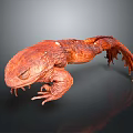 Realistic 3D Rendered Red Salamander with Textured Skin and Detailed Features on Dark Background