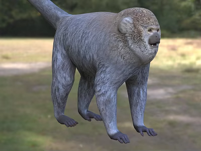 Reptile Lizard Basking On Warm Rock Surface In Natural Desert Habitat 3d model