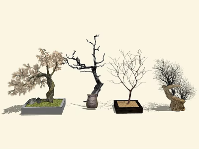 Collection Of Bonsai Arbor Trees With Diverse Shapes And Decorative Planters 3d model