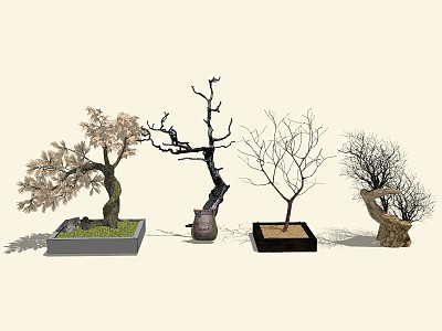 modern tree dry branches model