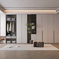Modern Wardrobe Interior Design With Hanging Rods Shelves And Decorative Plant