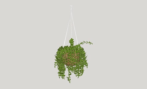 vine green plant hanging plant 3d model