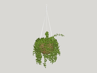 vine green plant hanging plant 3d model