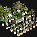 Diverse Bonsai and Potted Plants in White and Brown Ceramic Pots Displayed Against Black Background