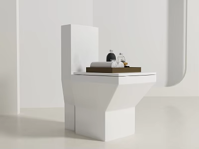 Sleek Modern White Toilet With Square Design And Decorative Tray On Top Surface 3d model
