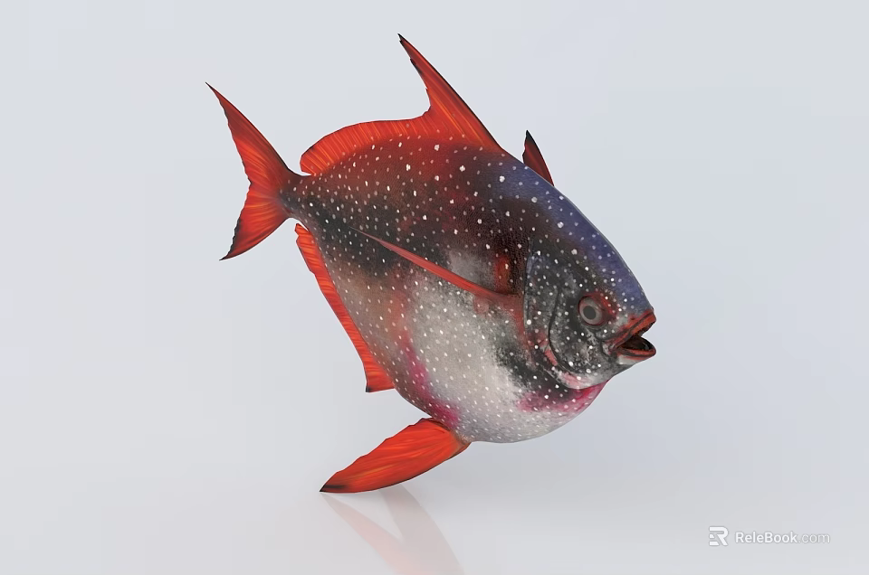 Vibrant Aquatic Fish With Red Fins And White Spots Swimming In Ocean Waters 3d model 
