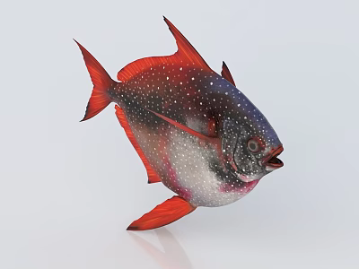 Vibrant Aquatic Fish With Red Fins And White Spots Swimming In Ocean Waters 3d model