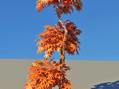 Spiral Shaped Arbor With Vibrant Orange Leaves Against Blue Sky Background 3d model