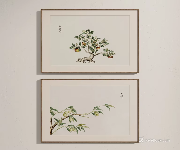 Traditional Botanical Plant Paintings With Branches Leaves And Fruits In Wooden Frames Hanging On Wall 3d model 