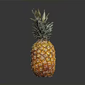 Fresh Ripe Pineapple with Green Leafy Top Orange Skin Juicy Tropical Fruit on Dark Background