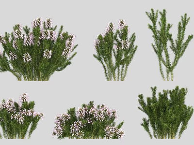 Various Types of Flowering and Green Shrubs Featuring Different Growth Shapes 3d model