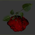 Beautiful Red Rose Plant With Green Stem And Leaves On Gray Background