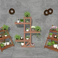 Succulent Plants Arranged on Wooden Plant Stands in Modern Indoor Garden