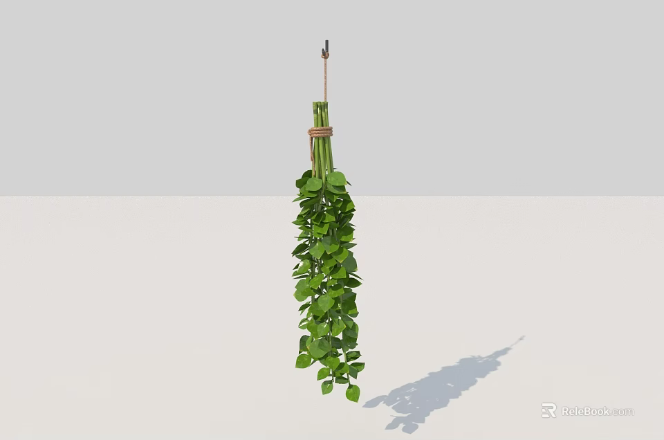 Hanging Basket Plant With Lush Green Trailing Leaves And Natural Hanging Rope 3d model 