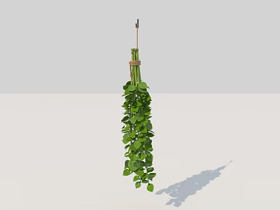 Hanging Basket Plant With Lush Green Trailing Leaves And Natural Hanging Rope 3d model