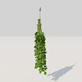Hanging Basket Plant With Lush Green Trailing Leaves And Natural Hanging Rope