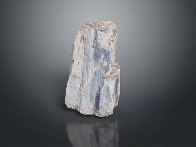 Natural Wooden Stone Block with Unique Texture Raw Structure and Appearance 3d model
