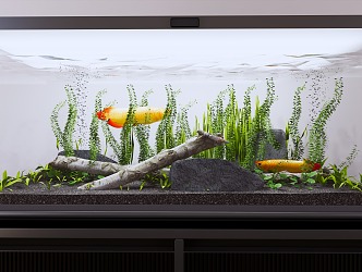 Modern Fish Tank Furniture 3d model