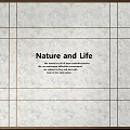 DuPont Paper Background Paper DuPont Paper Image Wall DuPont Paper Light Box 3d model