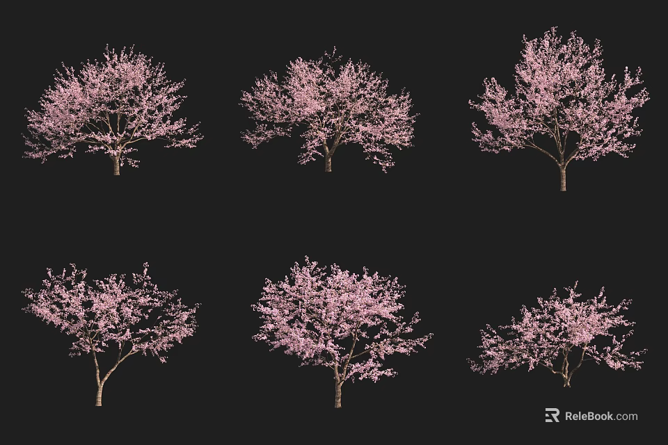 Six Vibrant Pink Blooming Arbor Trees Isolated on Black Background 3d model 