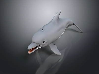 Gray Dolphin 3D Model With Open Mouth Shiny Surface And Reflection 3d model