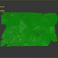 Natural Terrain with Green Moss Covered Rock Surface and Small Yellow Spots and Natural Indentations