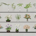 Assorted Fresh Flowers In Glass And Ceramic Vases On Shelf