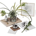 Elegant Decorative Ornament Set With Potted Plant Framed Quote Books And Scented Bottle