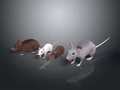 Group of Brown White and Gray Mice on Dark Background Surface 3d model