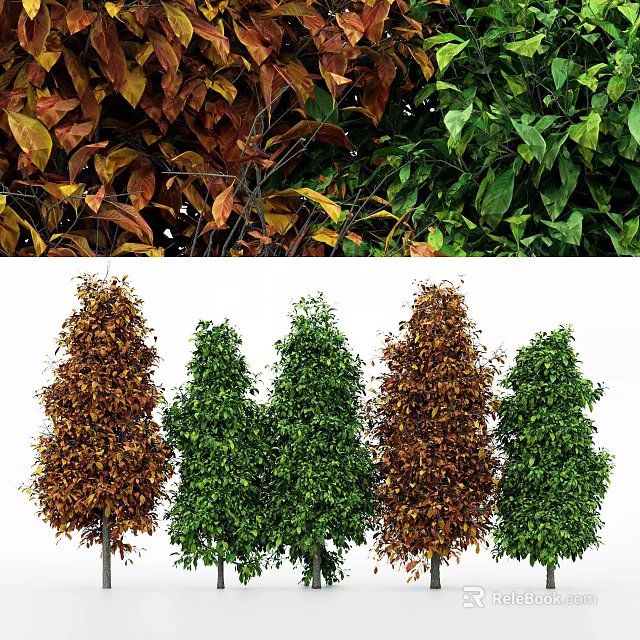 Arbor Trees with Green and Brown Foliage in Seasonal Arrangement 3d model 