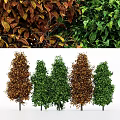 Arbor Trees with Green and Brown Foliage in Seasonal Arrangement