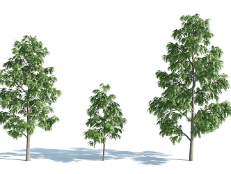 The Modern Tree 3d model