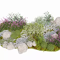 Lush Garden Shrubs with Purple Flowers White Blooms Rocks and Green Moss