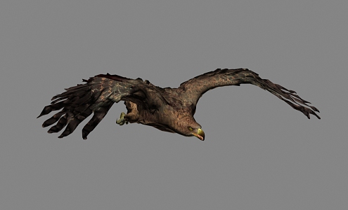 Modern Eagle 3d model