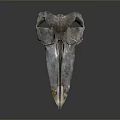 Animal Skull Sculpture With Metallic Texture Long Curved Beak And Detailed Structure Against Dark Background