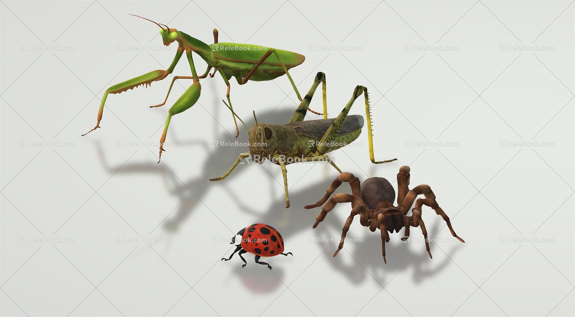 Modern mantis insect grasshopper mantis 3d model