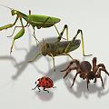 Modern mantis insect grasshopper mantis 3d model