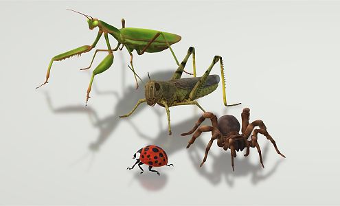 Modern mantis insect grasshopper mantis 3d model