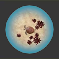 Sea Turtle As Reptile Swimming In Blue Water With Red Coral On Sandy Bottom