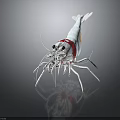 White Shrimp With Red Section Long Antennae And Legs On Black Background