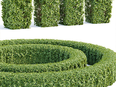 modern shrub arc-shaped shrub hedge combination outdoor shrub hedge flower bed green isolation belt model