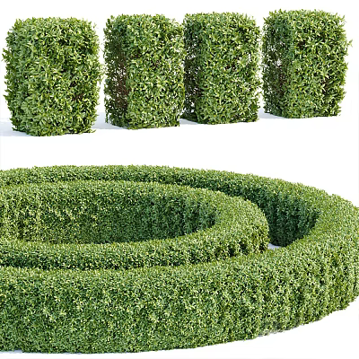 Well Trimmed Green Hedges With Four Columnar Structures And Spiral Maze For Garden Landscaping 3d model